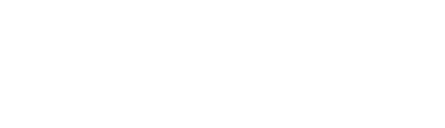 Petrie Partners Logo