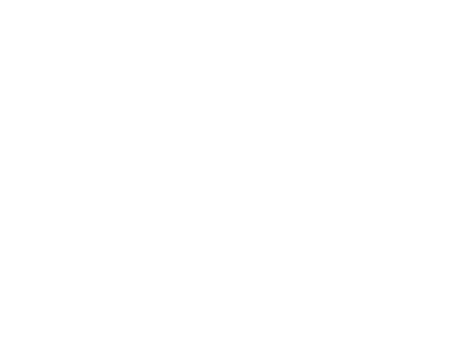 SLS Group logo