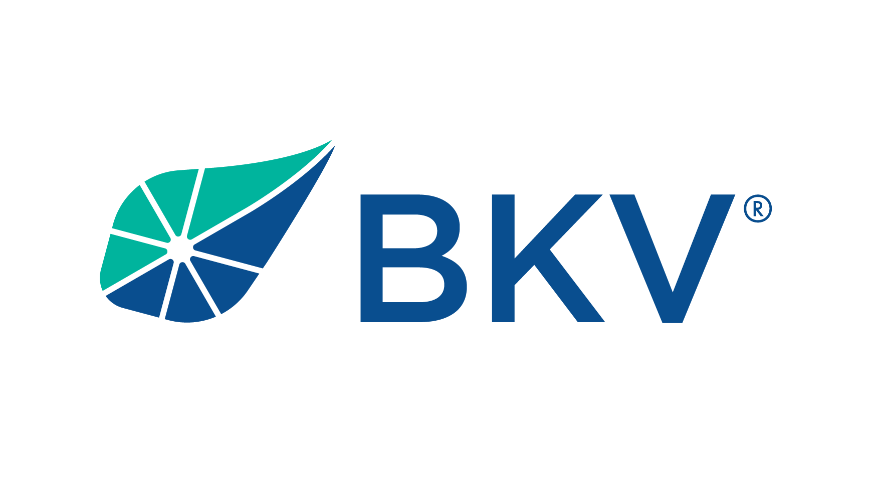 BKV_Logo_Horizontal_RGB BKV Logo