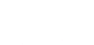 Vitesse Energy logo