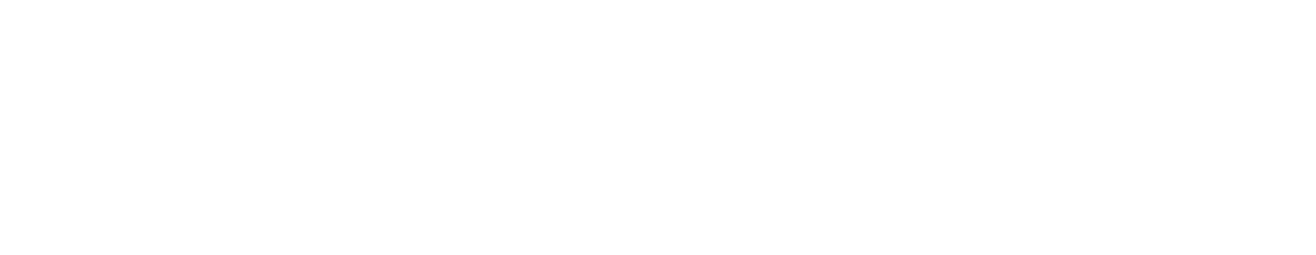 First Horizon logo